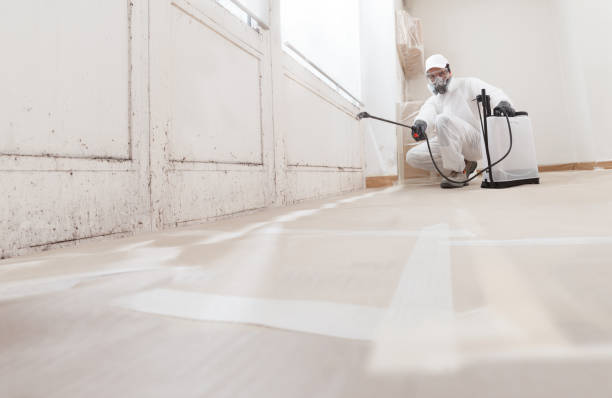 Trusted Commercial Mold Remediation service in Suffolk, VA - WQB Mold Removal