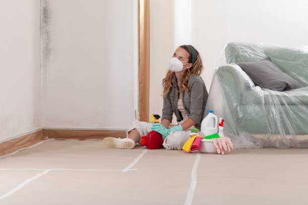 Reliable Commercial Mold Remediation contractor in Suffolk, VA by WQB Mold Removal